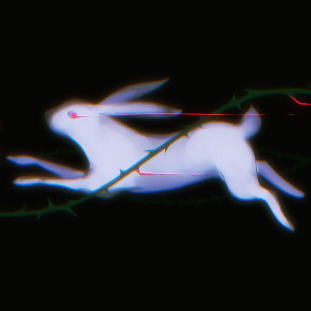 White bunny falling in a thorn bush